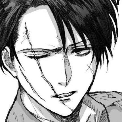 Levi