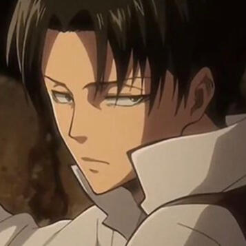 Levi2